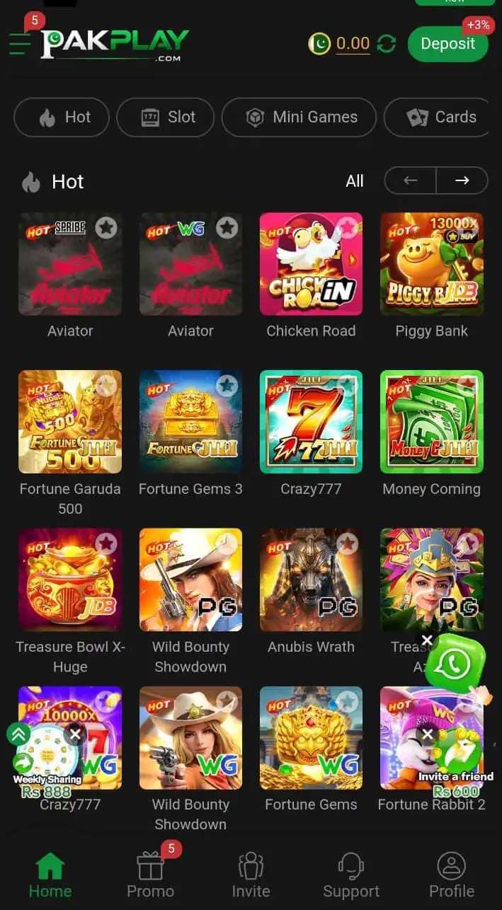 PakPlay Game